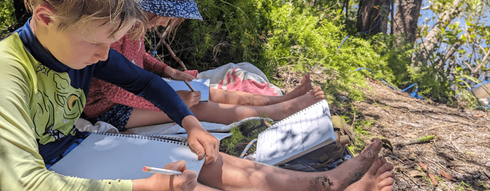 Alternative learning pathways explored